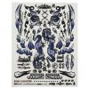 Firebrand RC Concept Dragon Decal (Blue) (8.5x11")